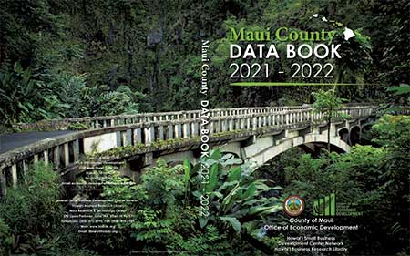 2020 Maui County Data Book Cover